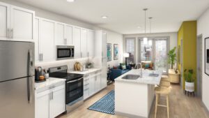 Luxurious Living Room and Kitchen Design